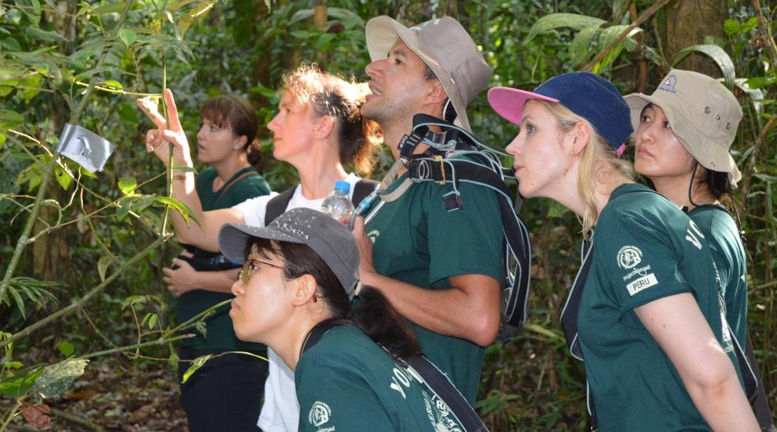 A group of Projects Abroad volunteers doing a bird census on the Amazon Rainforest Conservation Project for teenagers Teenagers complete a bird census as part of their rainforest conservation volunteering in Peru